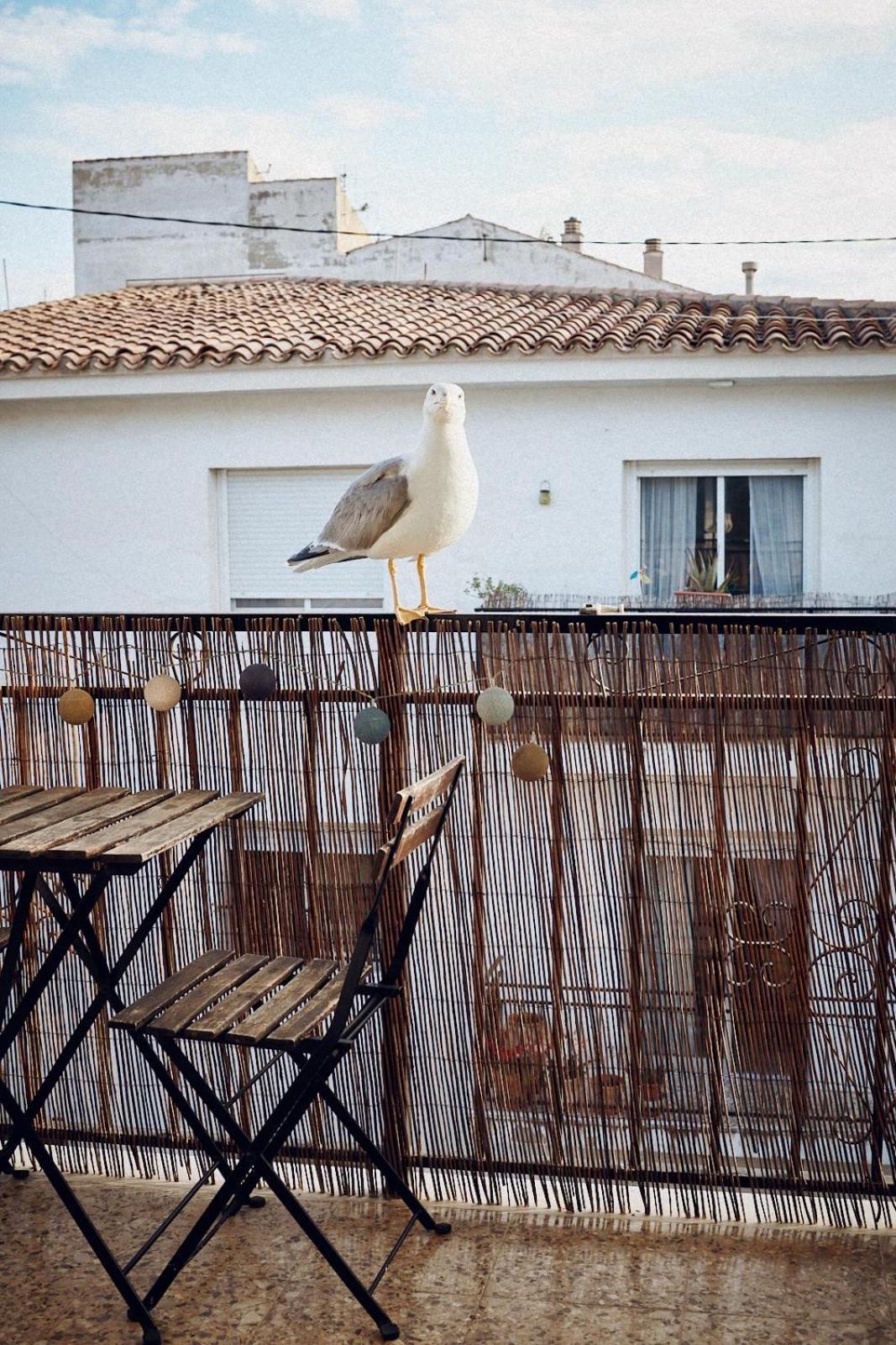 Maison Dya Altea Dış mekan fotoğraf